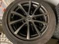 BMW Z4 Z4 roadster 2.5i Individual Vollleder mit Hardtop Green - thumbnail 15