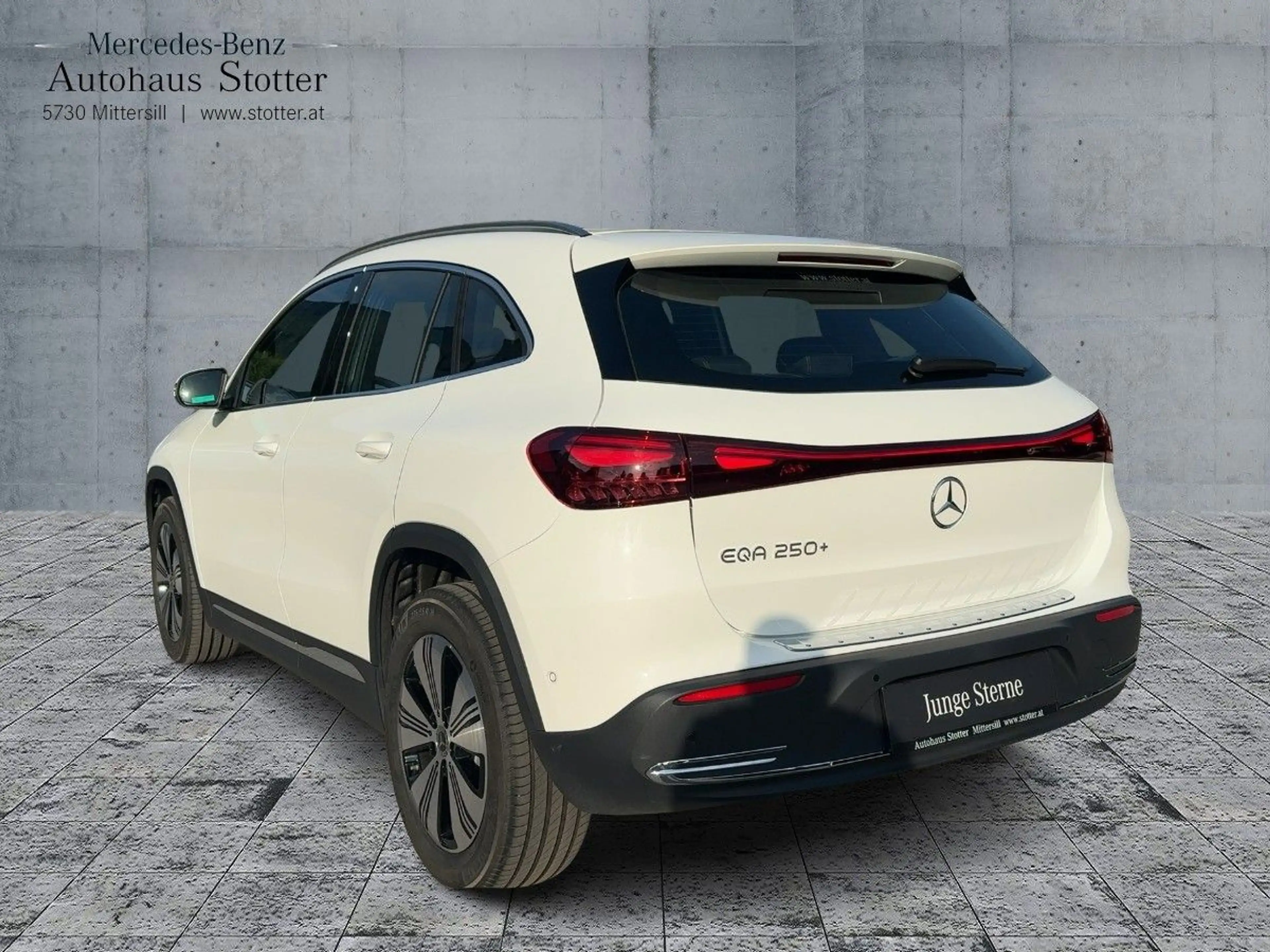 Mercedes-Benz EQA 250 + *Ambiente*Navi* — photo 6