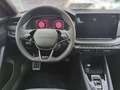 Skoda Octavia Combi 2.0 TDI DSG Sportline MATRIX NAVI AHK TRAVE Grau - thumbnail 11
