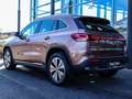 Mercedes-Benz EQA 250 Advanced-Paket Progressive/Kamera Gold - thumbnail 3