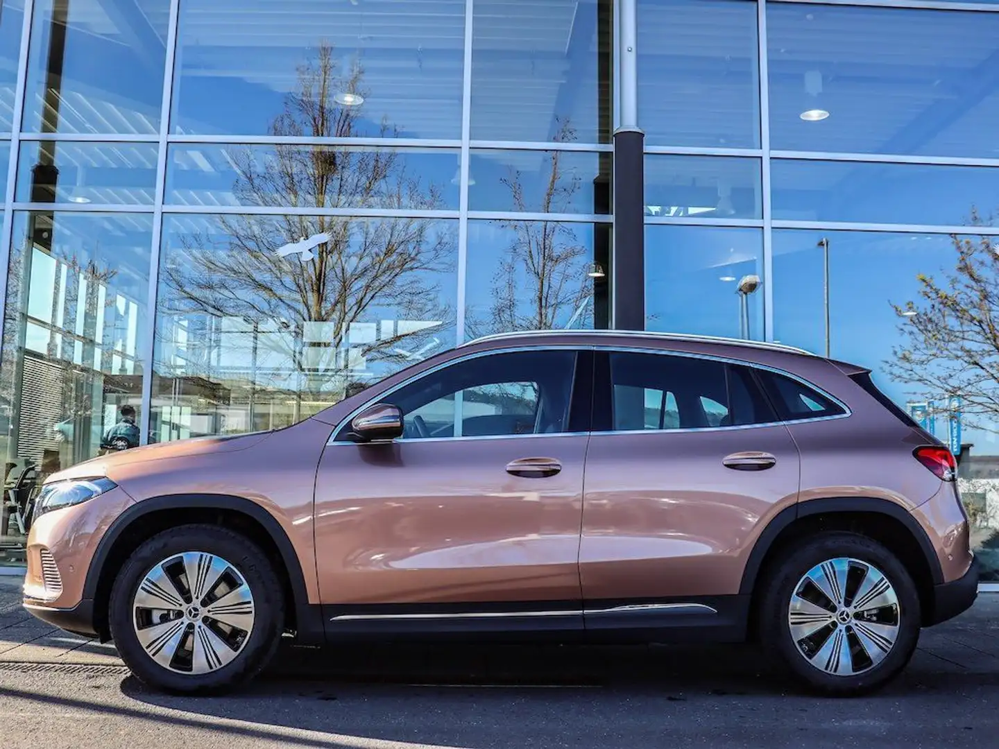 Mercedes-Benz EQA 250 Advanced-Paket Progressive/Kamera Gold - 2