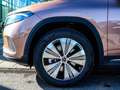 Mercedes-Benz EQA 250 Advanced-Paket Progressive/Kamera Gold - thumbnail 12