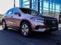 Mercedes-Benz EQA 250 Advanced-Paket Progressive/Kamera Gold - thumbnail 10