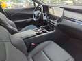 Lexus RX 350 h E-Four Executive Line ACC+LED+Navi Weiß - thumbnail 13