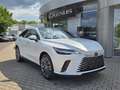Lexus RX 350 h E-Four Executive Line ACC+LED+Navi Weiß - thumbnail 2