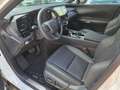 Lexus RX 350 h E-Four Executive Line ACC+LED+Navi Weiß - thumbnail 9
