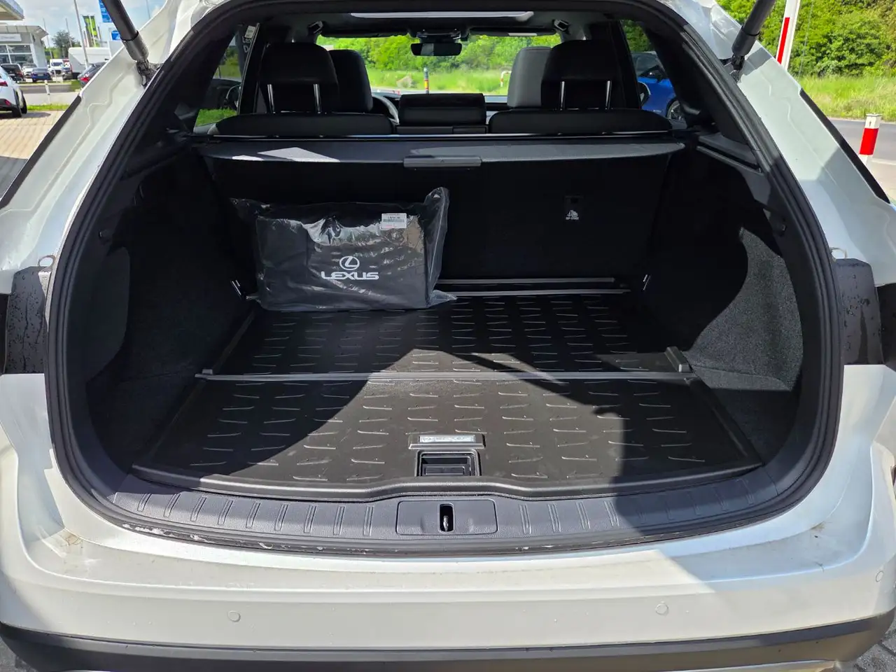 Lexus RX 350 h E-Four Executive Line ACC+LED+Navi 8