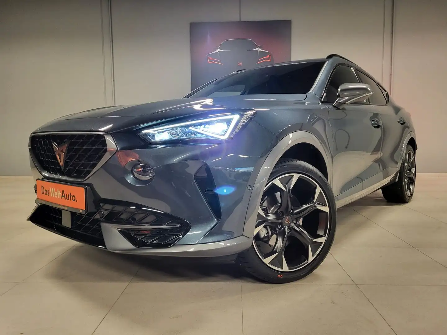 CUPRA Formentor 2.0 TSI DSG 4Drive *AHK*Leder*Beats* Grau - 2