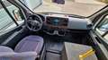 Mercedes-Benz Sprinter Lagerfahrzeug Mobility  Niederflur Bürgerbus Weiß - thumbnail 38