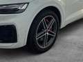 Audi SQ5 Sportback MATRIX LED AHK ACC PANO NAVI 360" Weiß - thumbnail 4