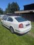 Skoda Octavia 1.6 Classic - thumbnail 3
