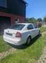 Skoda Octavia 1.6 Classic - thumbnail 4