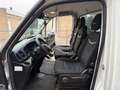 Iveco Daily 35S18H 3.0 410 |Automaat| Bakwagen | 180PK | BTW Blanc - thumbnail 11