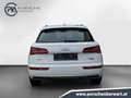 Audi Q5 45 TDI quattro intense Weiß - thumbnail 5