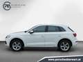 Audi Q5 45 TDI quattro intense Weiß - thumbnail 3