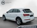Audi Q5 45 TDI quattro intense Bianco - thumbnail 5