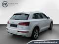 Audi Q5 45 TDI quattro intense Bianco - thumbnail 7
