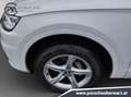 Audi Q5 45 TDI quattro intense Weiß - thumbnail 7