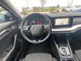 Skoda Octavia Combi 2.0 TDI DSG CLEVER 17"+NAVI-COLUMB Blau - thumbnail 10