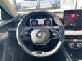 Skoda Superb Combi 2.0 TDI Selection DSG Navi LED AHK Schwarz - thumbnail 12