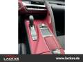 Lexus LC 500 Cabriolet Hokkaido Sondermodell 1/80  HUD AD El. F Alb - thumbnail 12