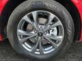 Ford Kuga Plug-In Hybrid ST-Line X*Head-Up*DAB*LED* Rot - thumbnail 8