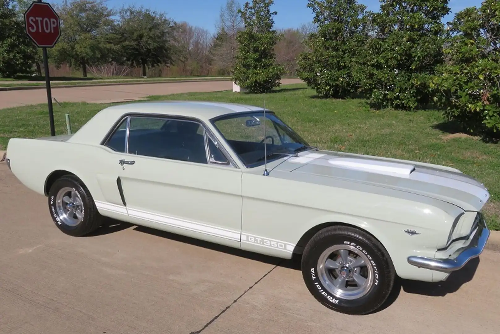 Ford Mustang 1965 Ford GT350 289 - 2