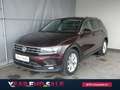 Volkswagen Tiguan Highline TDI SCR DSG Rot - thumbnail 1