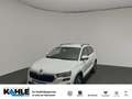 Skoda Karoq 1.5 TSI Tour AHK LED Facelift Blanc - thumbnail 1