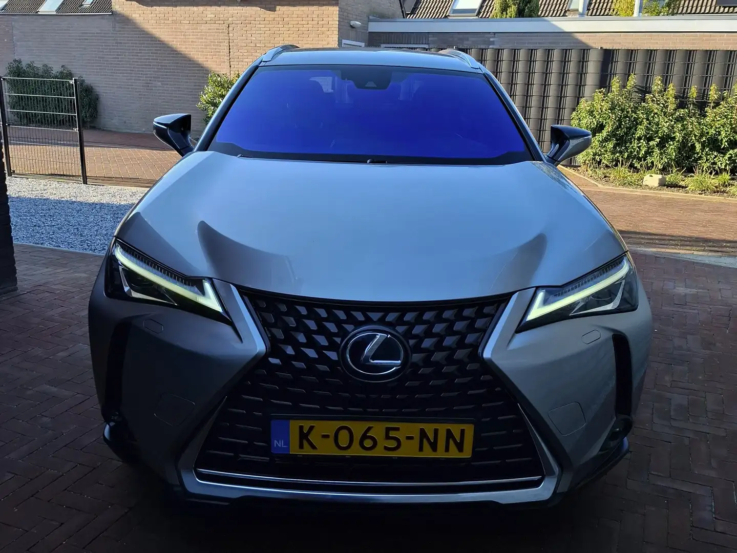 Lexus UX 250h Executive Line Grau - 2