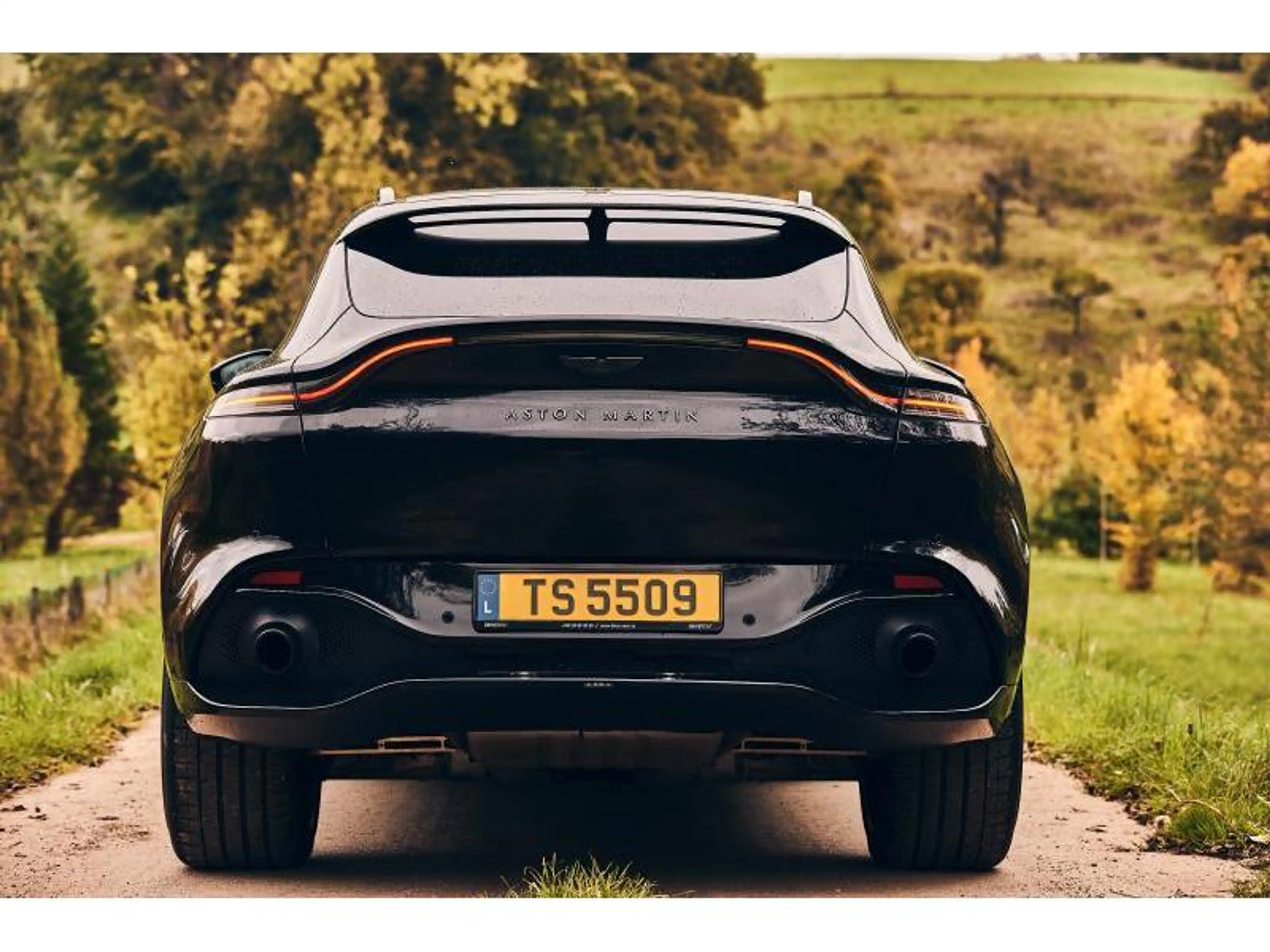 Aston Martin DBX — photo 8