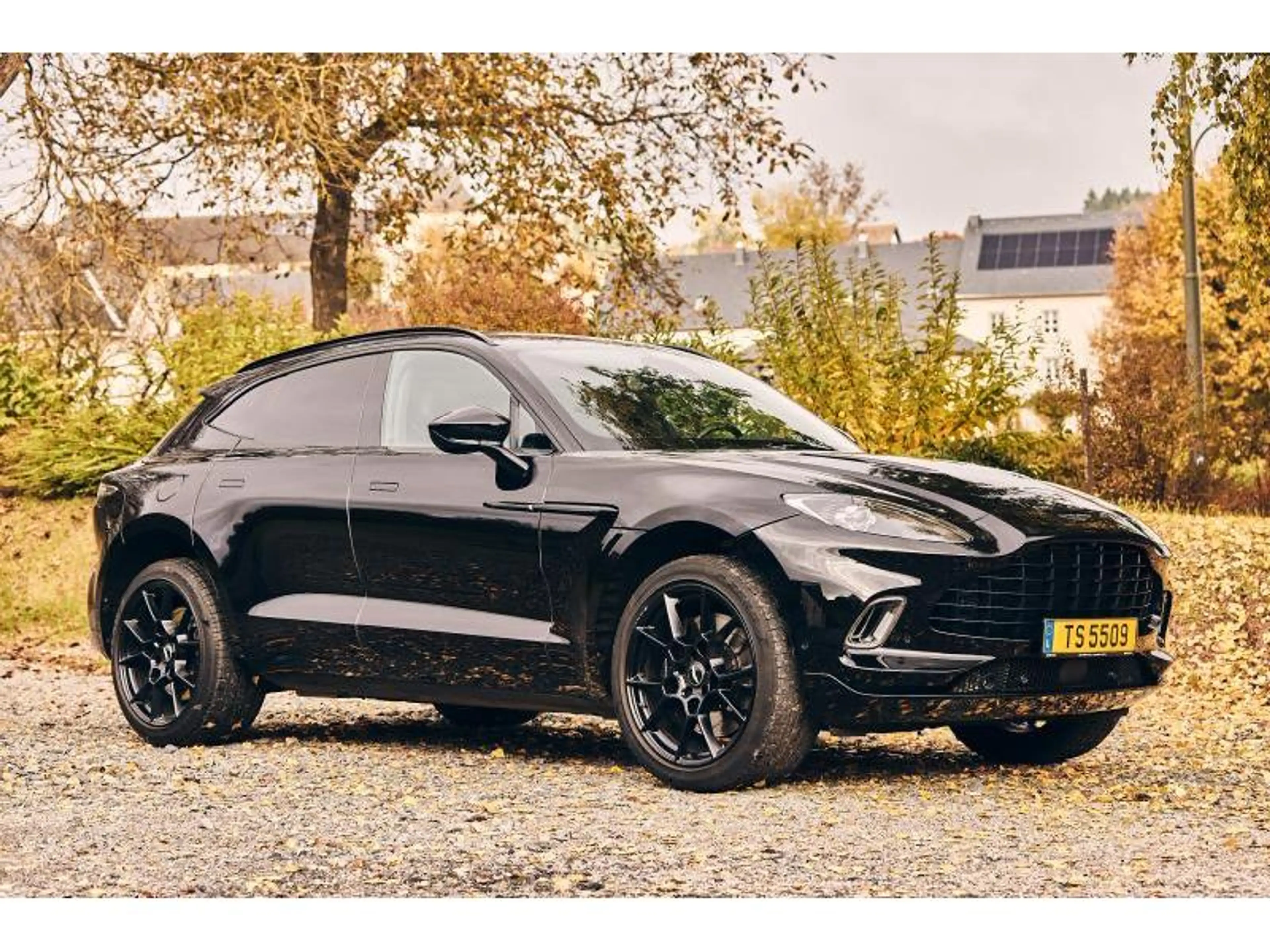 Aston Martin DBX — photo 11