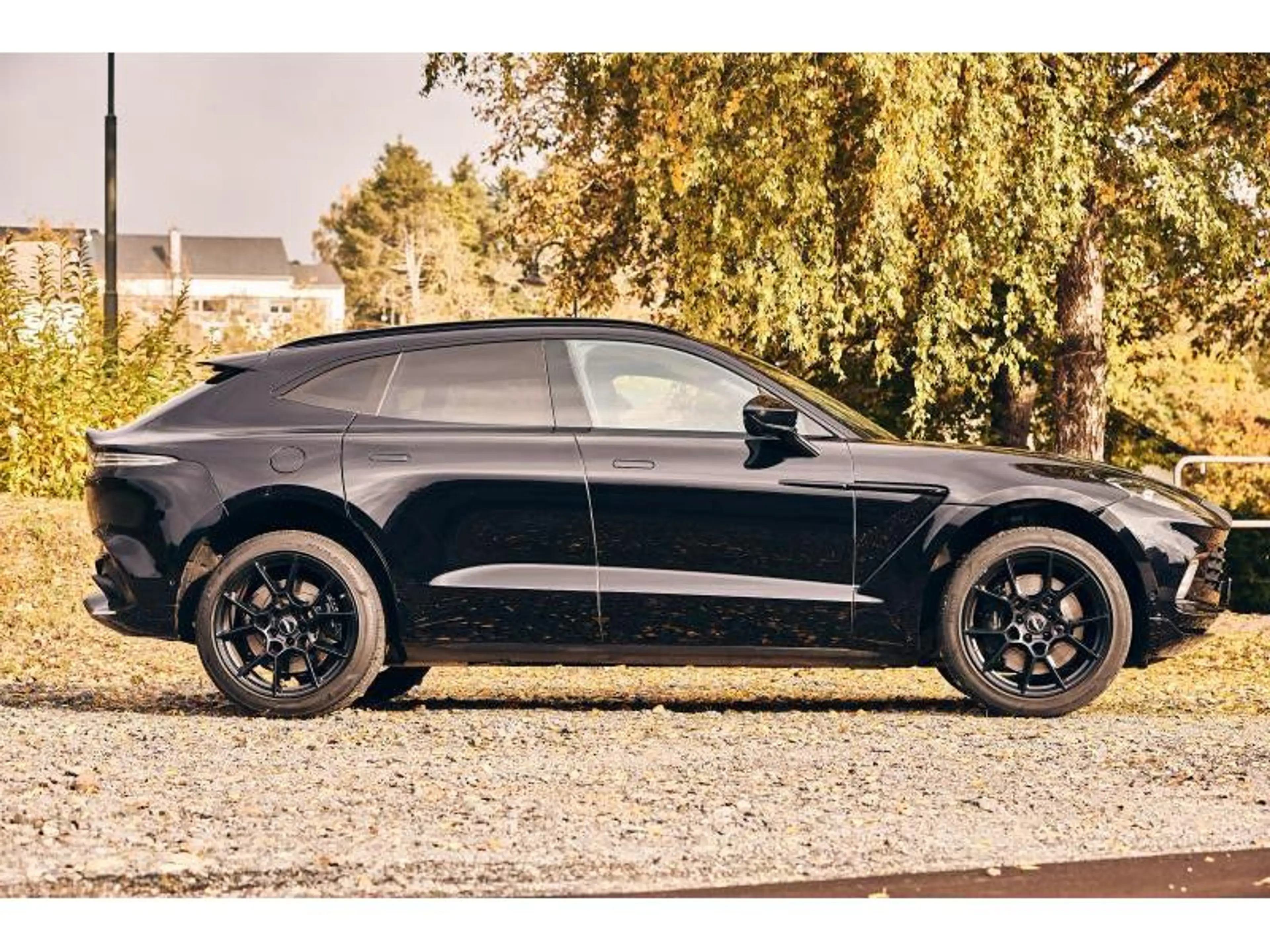 Aston Martin DBX — photo 15
