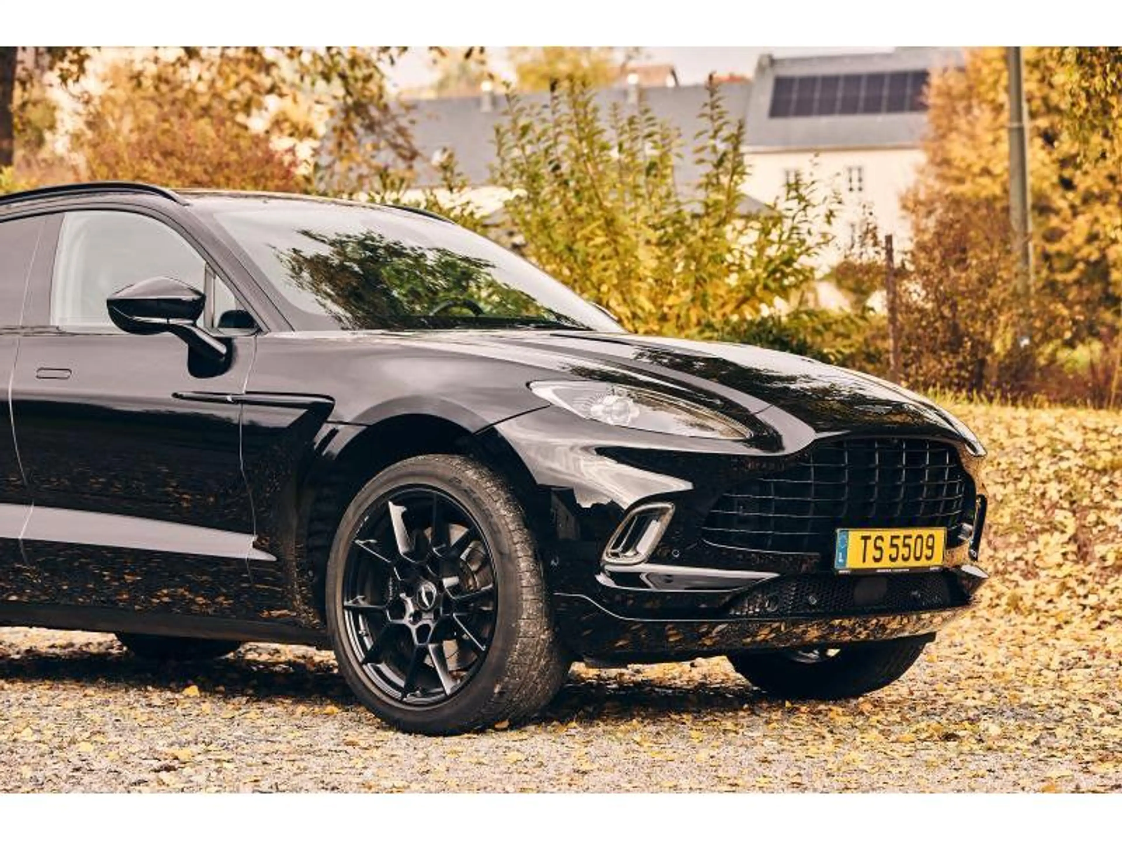 Aston Martin DBX — photo 12