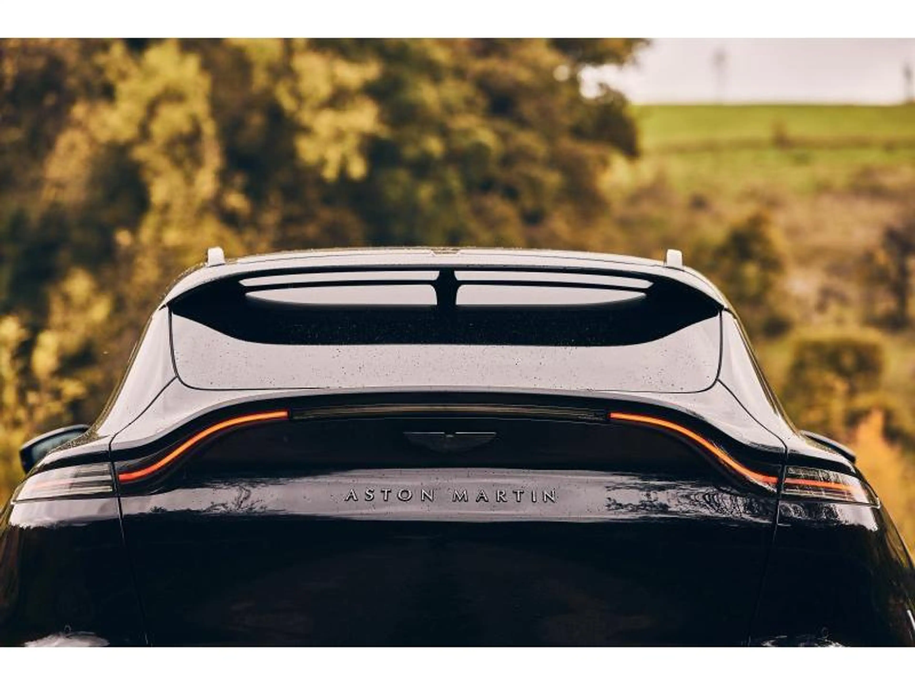 Aston Martin DBX — photo 3