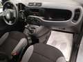 Fiat Panda 1.0 firefly hybrid s&s * 28 000 KM * Grau - thumbnail 9