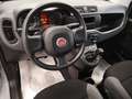Fiat Panda 1.0 firefly hybrid s&s * 28 000 KM * Grau - thumbnail 7