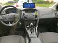 Ford Focus 1.5 TDCi DPF Automatik Navigation Telefon PDC Weiß - thumbnail 12