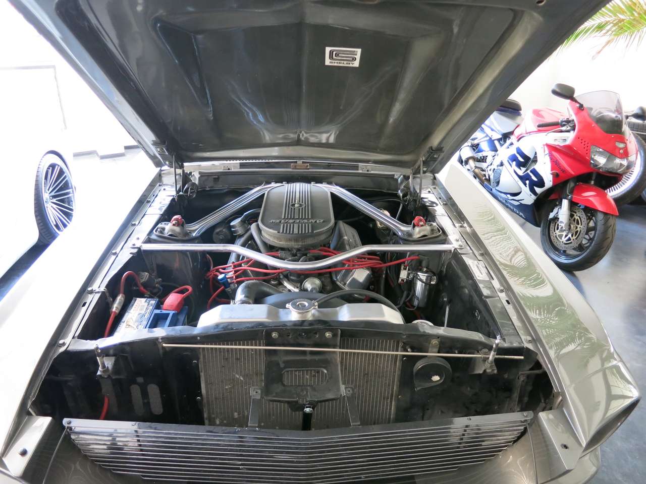 Shelby GT 500 Eleonore