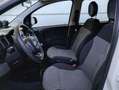 Fiat Panda 1.2 EasyPower Lounge Grigio - thumbnail 7