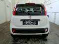 Fiat Panda 1.2 EasyPower Lounge Grigio - thumbnail 6