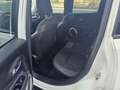 Jeep Renegade 1.6 MJT LONGITUDE 120 CV UNIPRO PREFETTA! NAVI!! Bianco - thumbnail 12