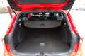 Ford Focus Turnier ST-Line beh.Front. Kamera Rood - thumbnail 16