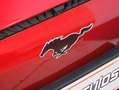 Ford Mustang Mach-E 198kW Batería 75,7kWh 269Cv Rojo - thumbnail 29