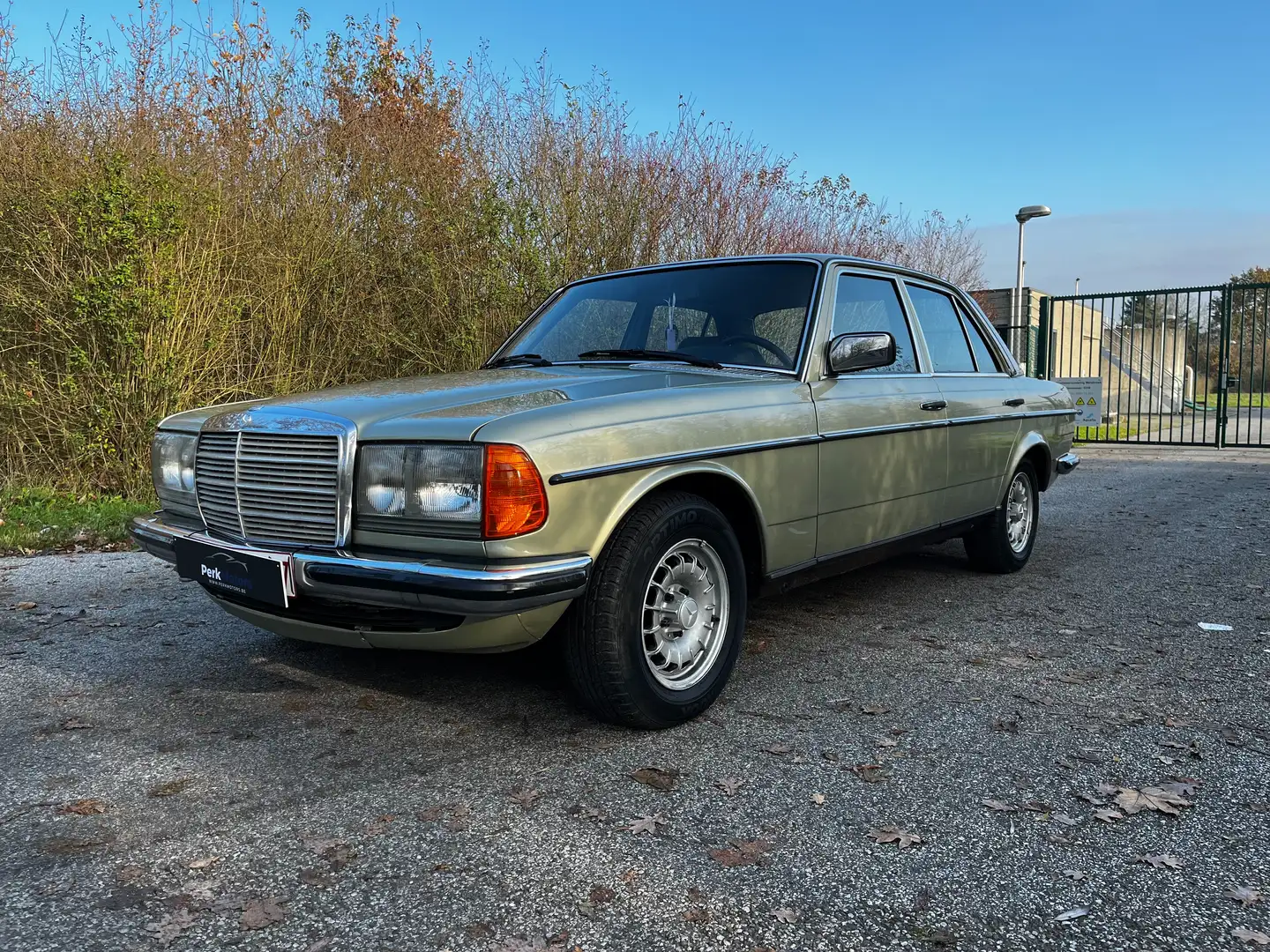 Mercedes-Benz 280 E Automaat - Becker Radio - Trekhaak Grün - 1