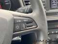 SEAT Leon ST Reference 1.2 TSI EXPORT/HÄNDLER Gris - thumbnail 19