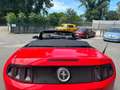 Ford Mustang 2013 cabrio Rouge - thumbnail 6