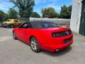 Ford Mustang 2013 cabrio Rouge - thumbnail 12