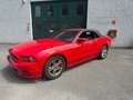 Ford Mustang 2013 cabrio Rouge - thumbnail 15