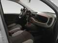 Fiat New Panda 1.0 FireFly Hybrid City Life Grigio - thumbnail 14
